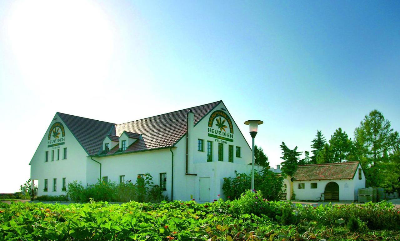 Hanfthal-Hof Ла-ан-дер-Тайя Экстерьер фото